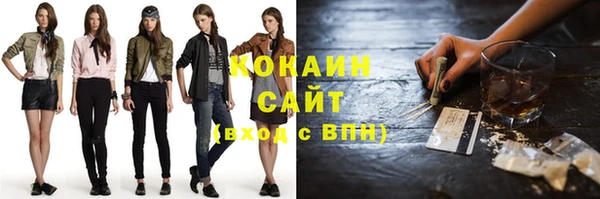 сатива Бронницы